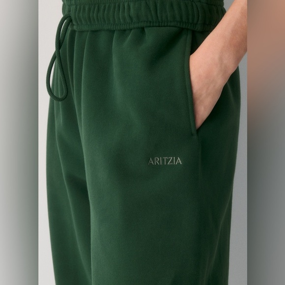 Aritzia Cozy Sweatfleece Mega Jogger - Picture 4 of 14